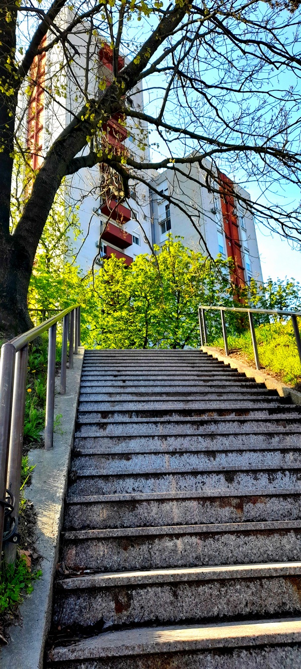 Prema gore

Foto: Andriana Kupanovac

Kljune rijei: Stepenice Priroda VBK Cetverolist