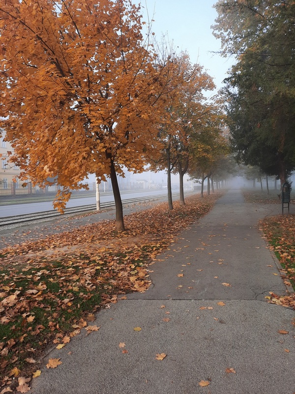 Jesen u Osijeku

Foto: Tihana Ivanievi

Kljune rijei: Jesen Priroda Magla