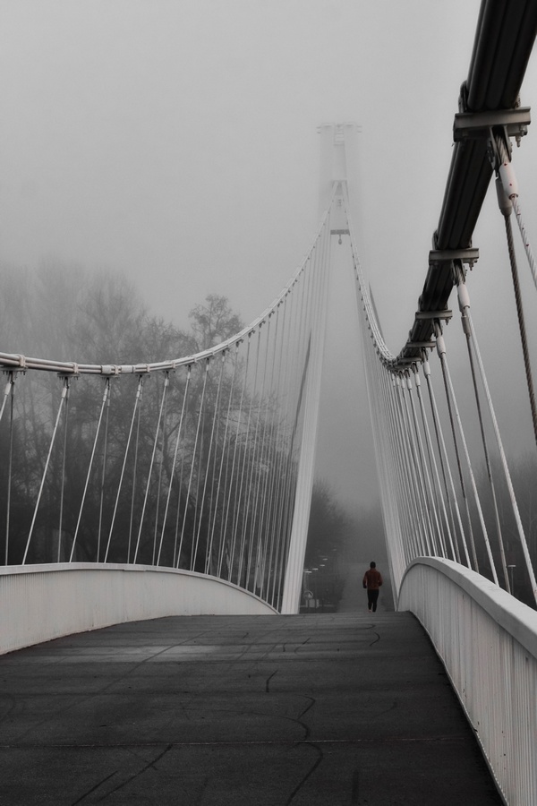 Na mostu

Foto: Dubravka Krmpota

Ključne riječi: Pjesacki most CB Priroda