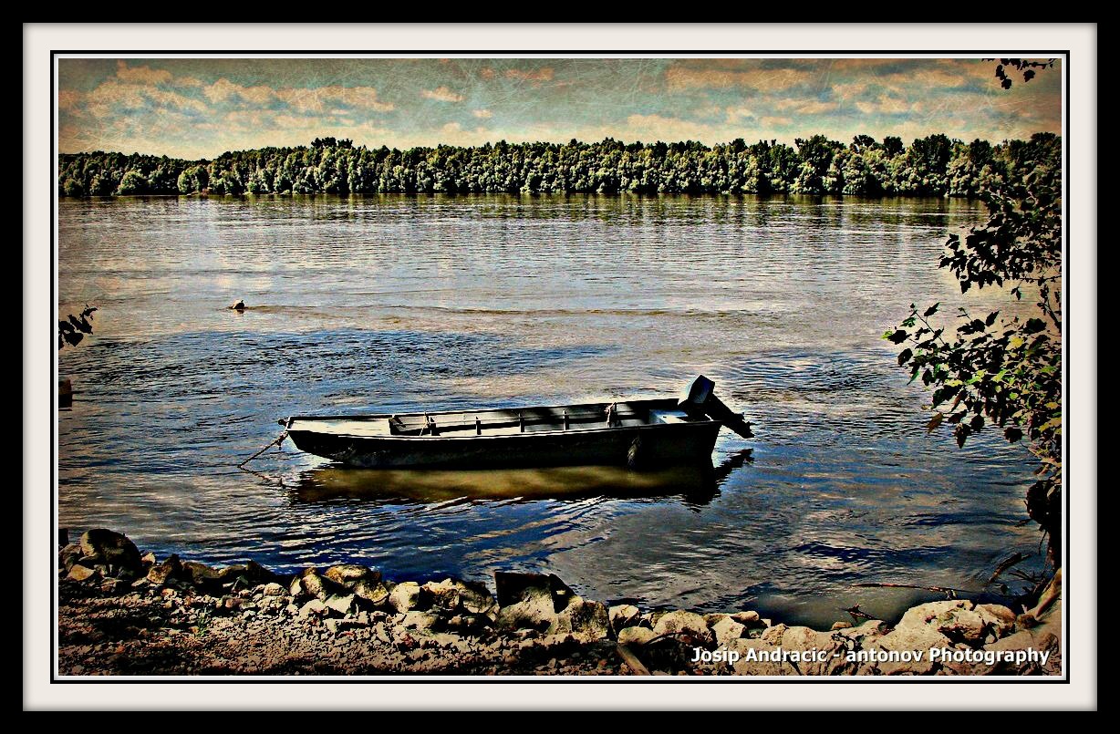 Dunav -Aljma
Foto: Josip Andrai - antonov


