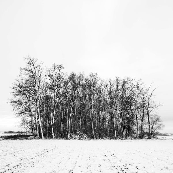 Zimska

Foto: Vladimir ivkovi

Kljune rijei: zima snijeg