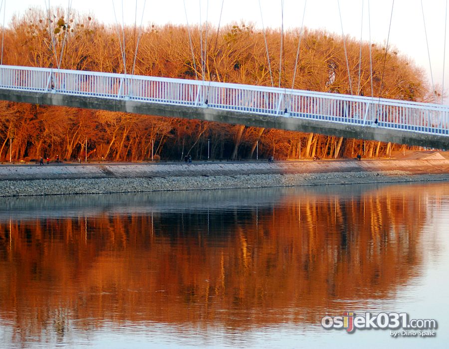 Naranasta uma

Foto: Dino Spai

Kljune rijei: most drava