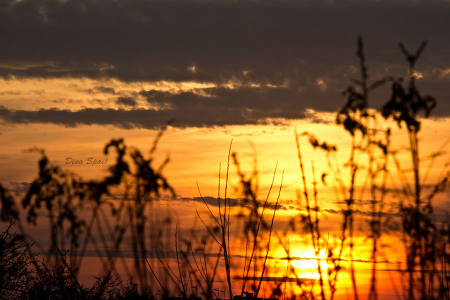 Zalazak

Foto: Dino Spai

Kljune rijei: zalazak sunce oblaci