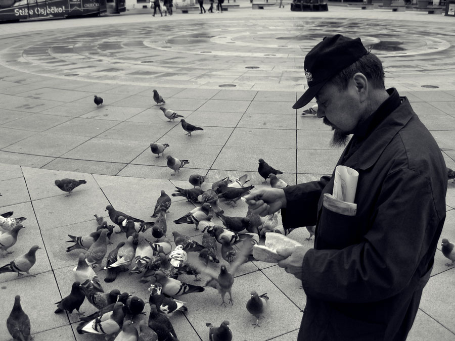 Kruh na svagdanji

Foto: Lara Bebek

Kljune rijei: rtg kruh golub