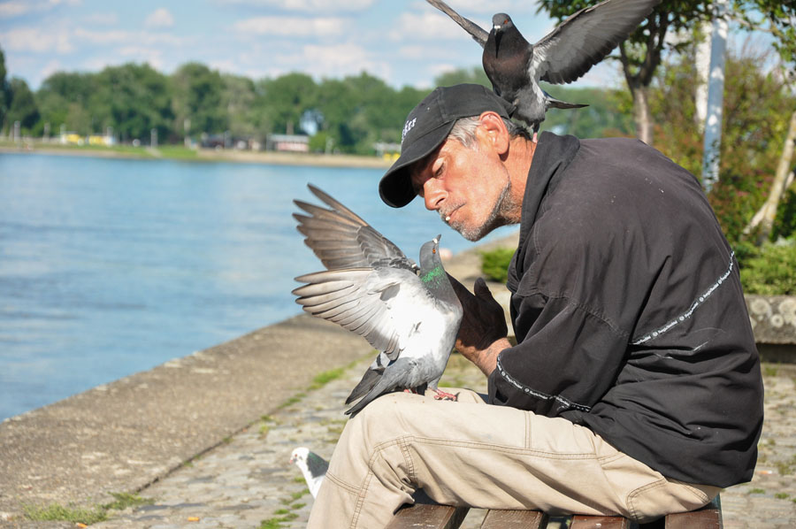 Vrijeme ruka!

Foto: Josip Degmei

Kljune rijei: golub golubovi hranjenje drava