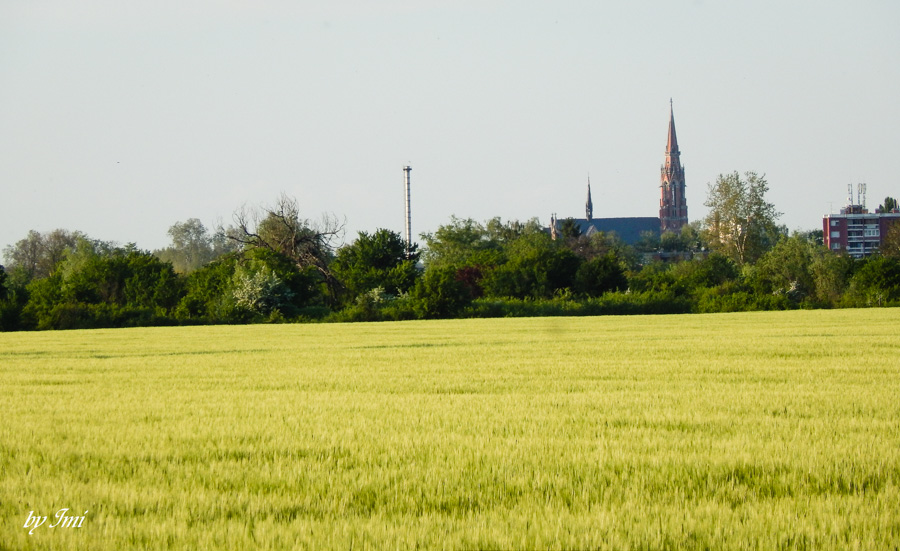 uti Osijek

Foto: Imelda Galjer

Kljune rijei: zuto grad polje katedrala