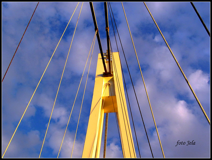 Most u nebu

Foto: Jelena Kasabai

Kljune rijei: most drava baranja oblaci nebo plavo
