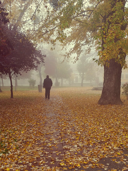 Jesenje jutro..

Foto: Lorena Janji

Kljune rijei: jesen jutro magla lisce boje