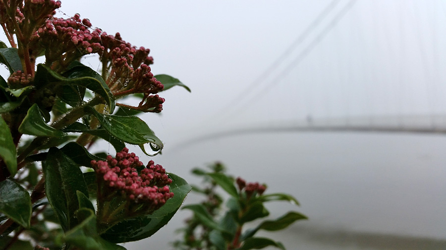 Maglovito jutro

Foto: Simon Rica-Kova

Kljune rijei: magla jutro most