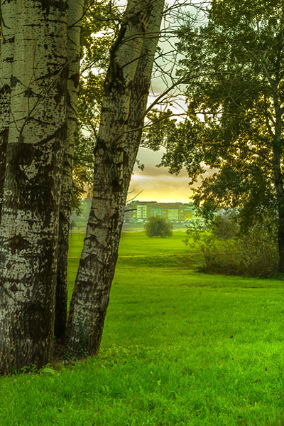 Zelenilo

Foto: Tamara Hrani

Kljune rijei: zelenilo breza
