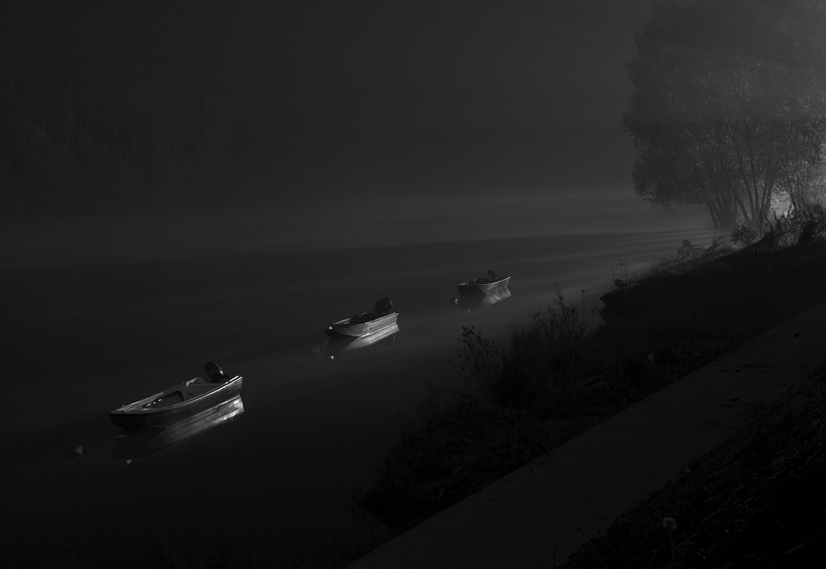 amci u magli

Foto: Mario Miloloza

Kljune rijei: magla drava camci mrak crno bijelo