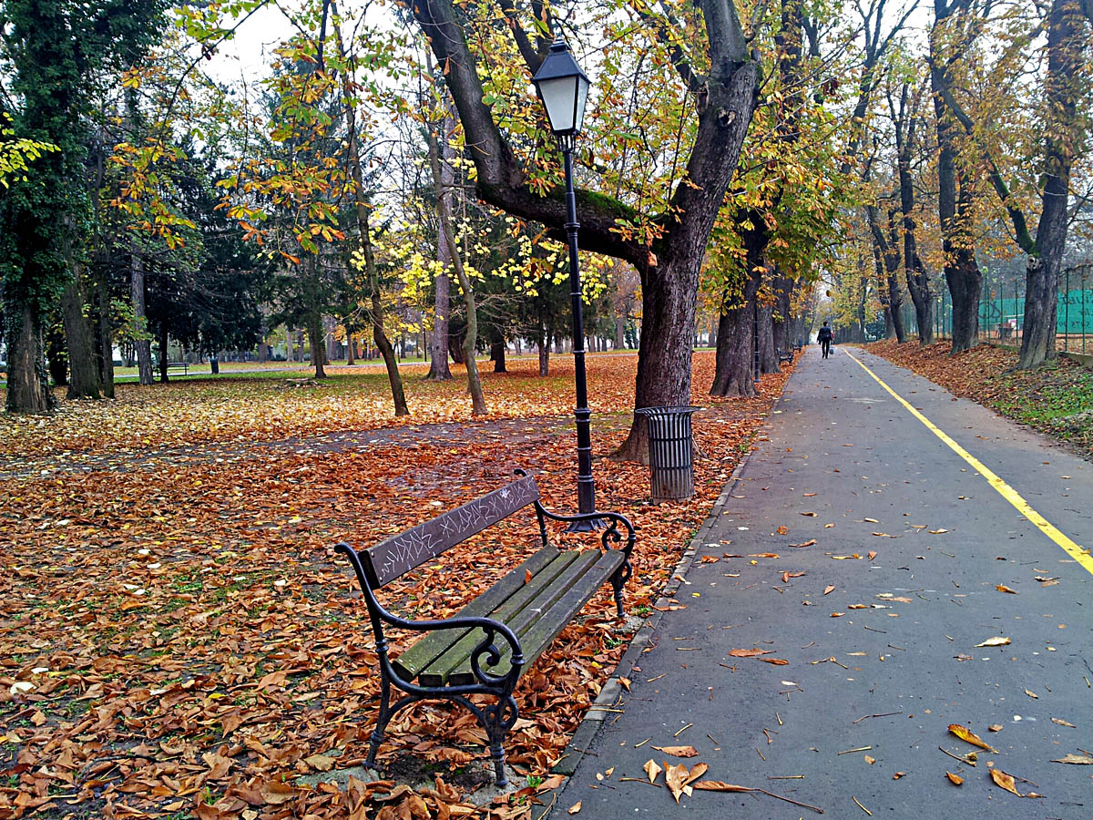 Jesen u parku

Foto: Iva Panduri

Kljune rijei: park jesen lisce