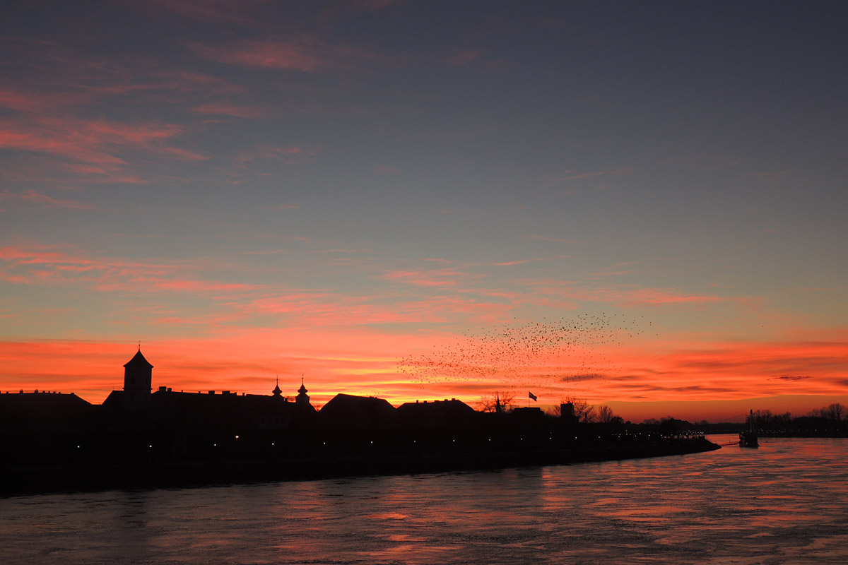 Dok gori nebo nad Osijekom

Foto: Dunja Gregorovi

Kljune rijei: gori nebo nad osijekom gradom zalazak sunca