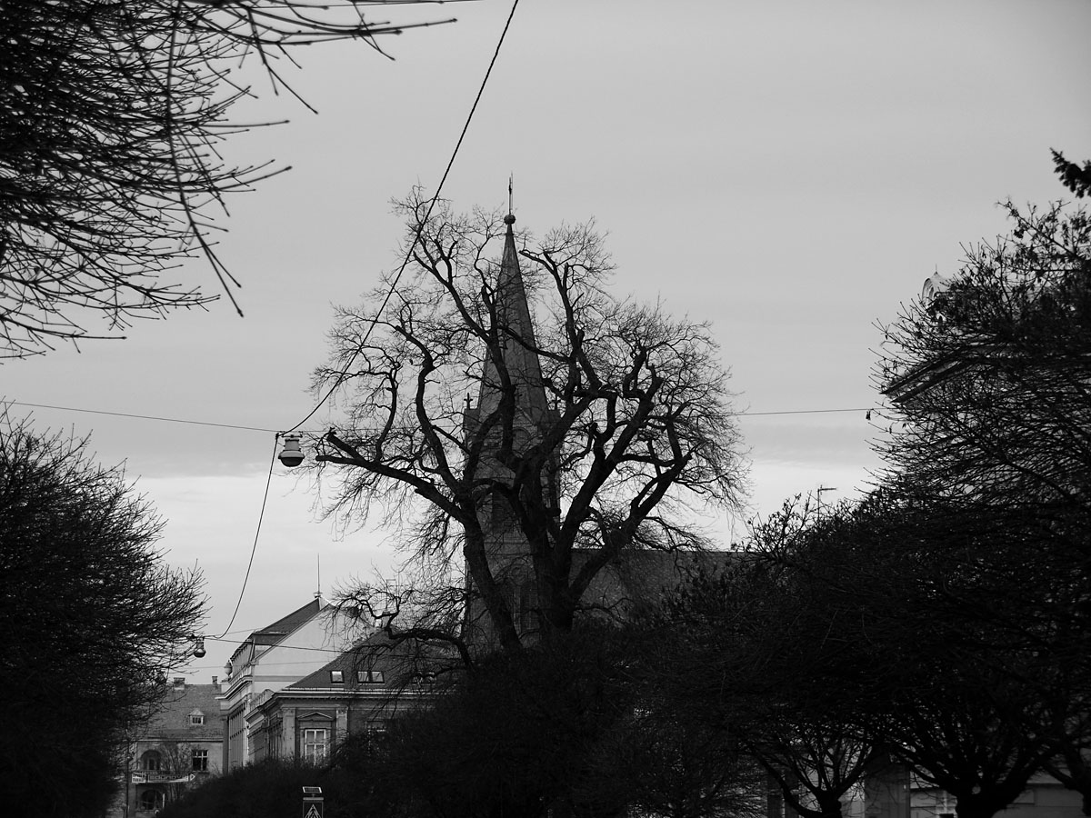 Iza drveta..

Foto: Vlatka ali

Kljune rijei: crno bijeli grad drvo crkva bijelo b&w 