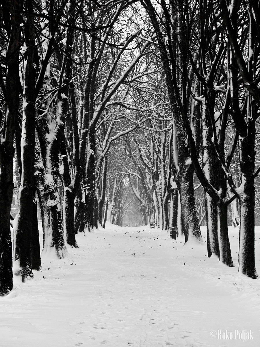 Zimska idila

Foto: Roko Poljak

Kljune rijei: zimska idila park snijeg zima