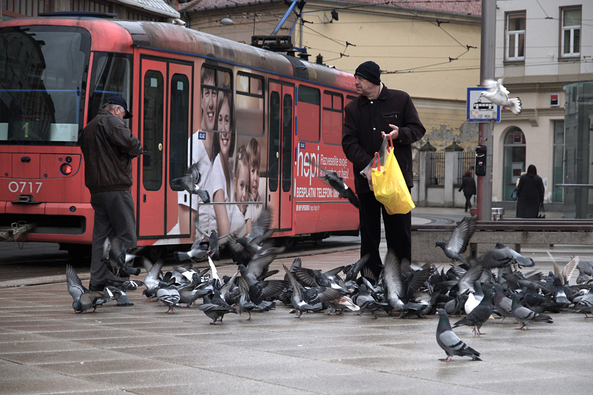 Vrijeme ruka!

Foto: Vladimir Brajkovi

Kljune rijei: vrijeme rucka hranjenje golubova trg
