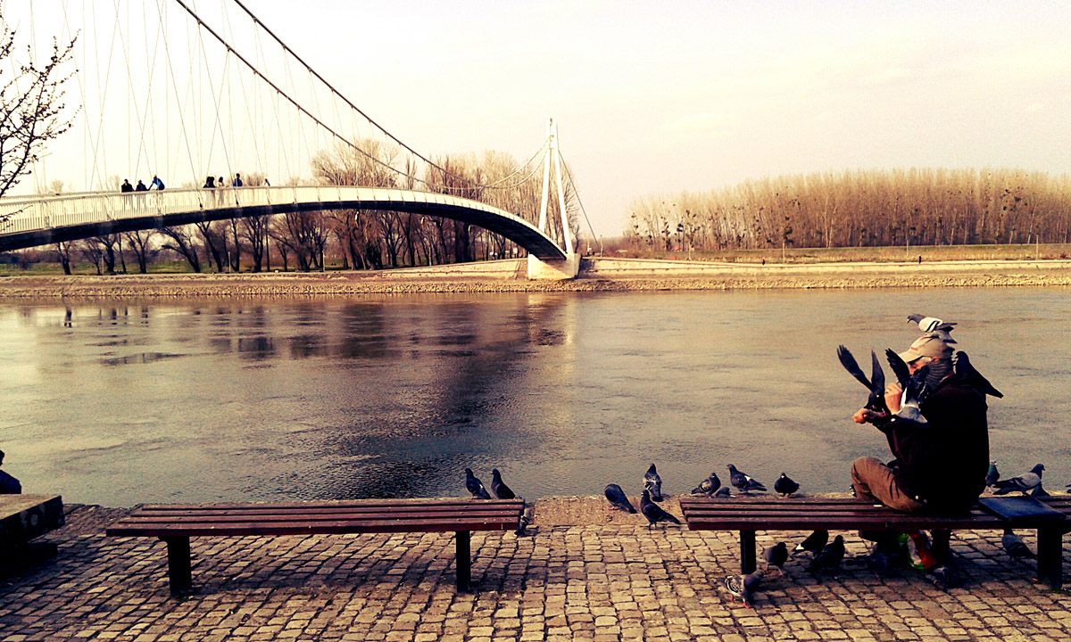 Golubinjak

Foto: Andrea Ilakovac

Kljune rijei: golubi golubovi golubinjak drava most