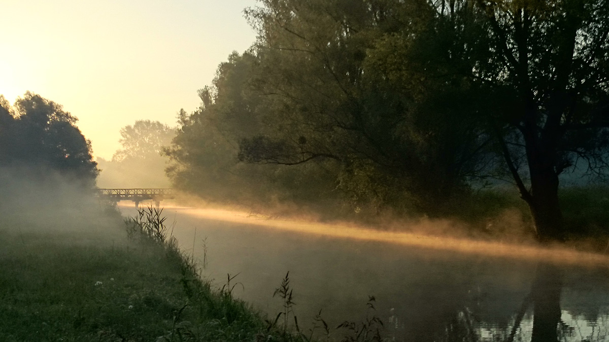 Jutro u Kopakom..

Foto: Dino aruga

Kljune rijei: jutro kopacki rit magla voda kanal sunce