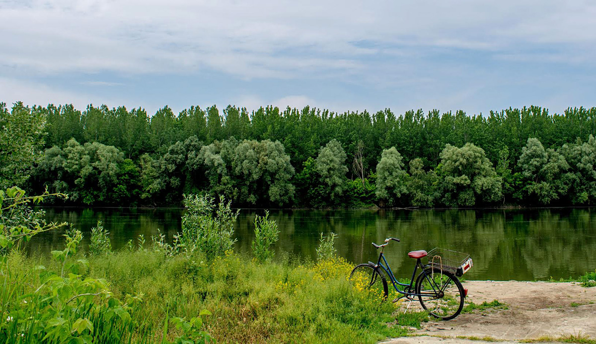 Bicikl na Dravi

Foto: Mak Na

Kljune rijei: bicikl drava dravi na