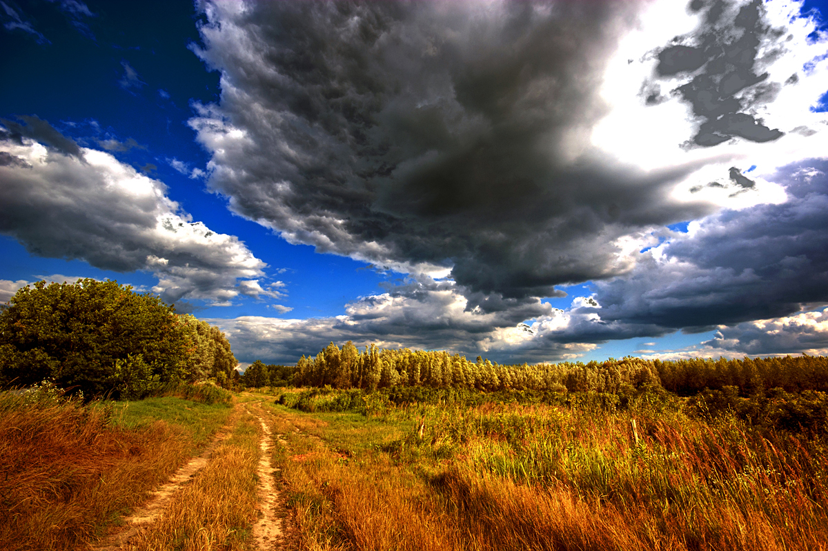 Ue Karaice

Foto: Tomislav Vuki

Kljune rijei: usce karasice nebo oblaci polje zito hdr