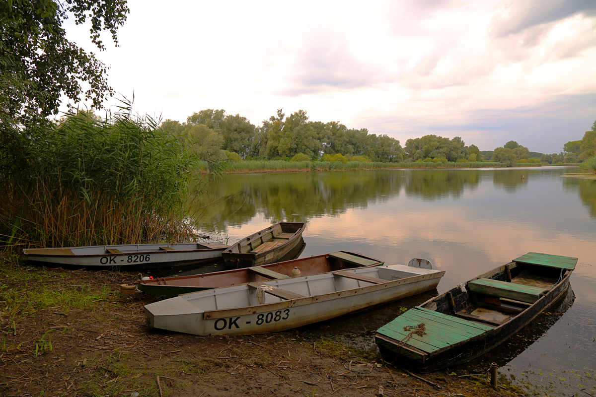 Ka Bilju

Foto: Josip Stevi

Kljune rijei: bilje jezero camac camci
