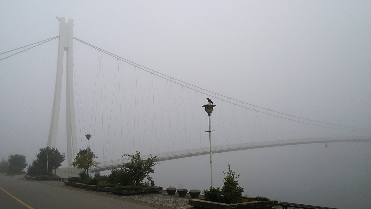 Most uranja u maglu (2)

Foto: Roberta iri-Vinceti

Kljune rijei: most magla drava