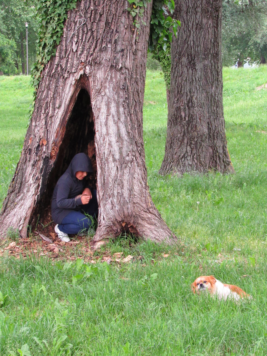 Igra skrivaa

Foto: Tanja Kadlec

Kljune rijei: igra skrivaca drvo park