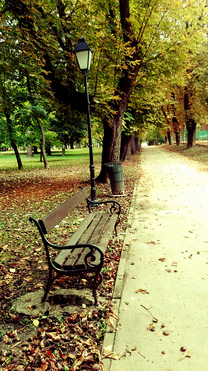 Jesen

Foto: Maja Petrievi

Kljune rijei: jesen park boje lisce