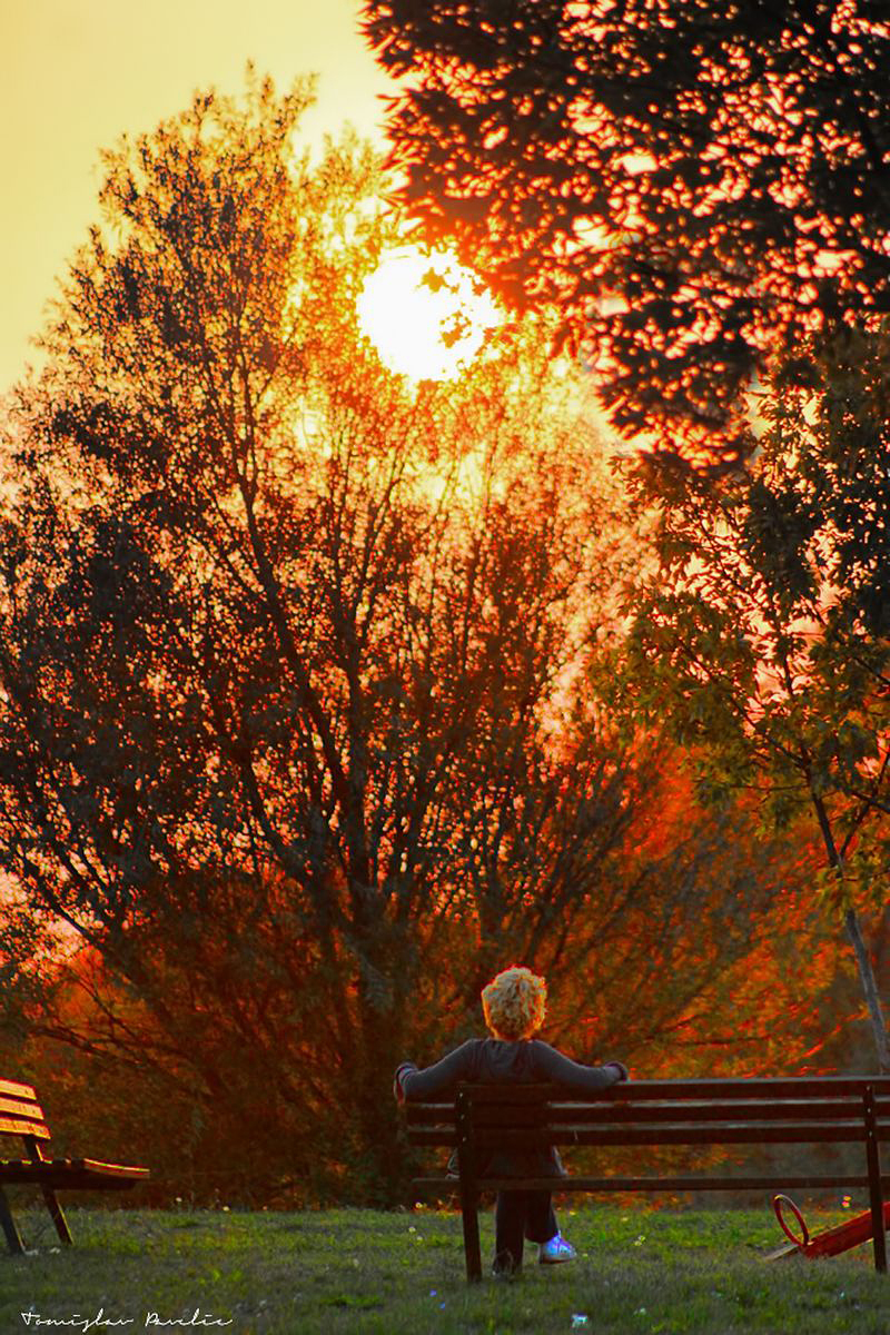 Pozdrav suncu

Foto: Tomislav Paveli

Kljune rijei: pozdrav suncu sunce klupica