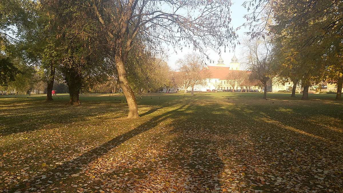 Prekrasna jesen

Foto: Roberta iri-Vinceti

Kljune rijei: jesen park boje lisce tvrda tvrdja