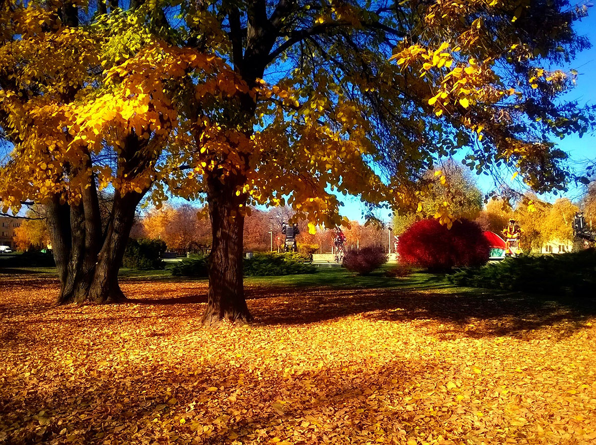 Jesen uz Dravu

Foto: Andrea Evi

Kljune rijei: jesen boje lisce drava