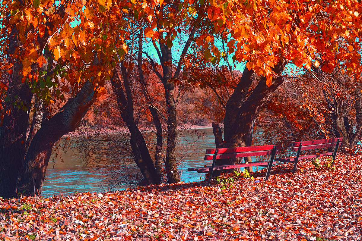Boje jeseni

Foto: Rebeka Stjepanovi

Kljune rijei: jesen boje lisce