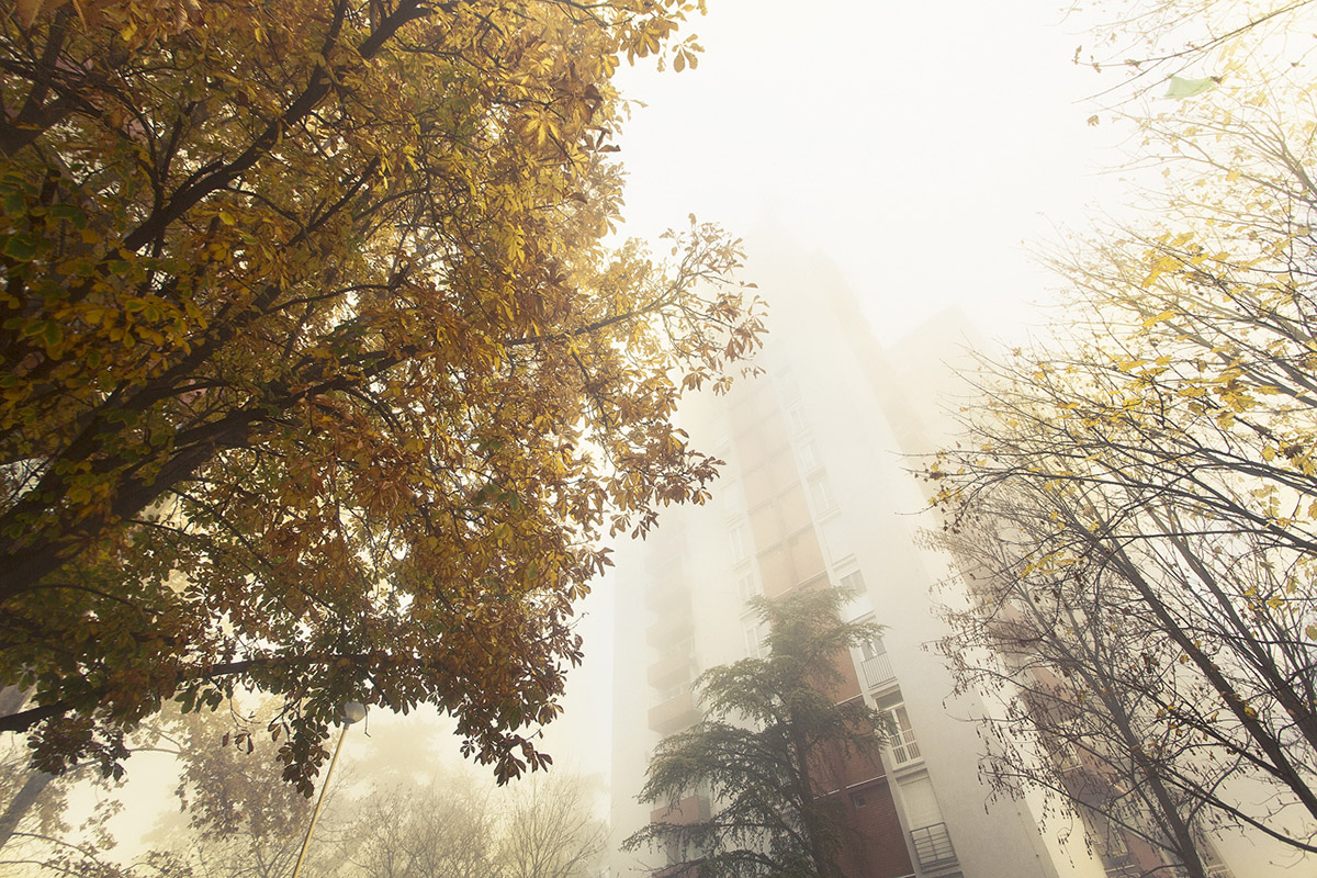 Jesen

Foto: Matej Snopek

Kljune rijei: jesen boje lisce sunce magla