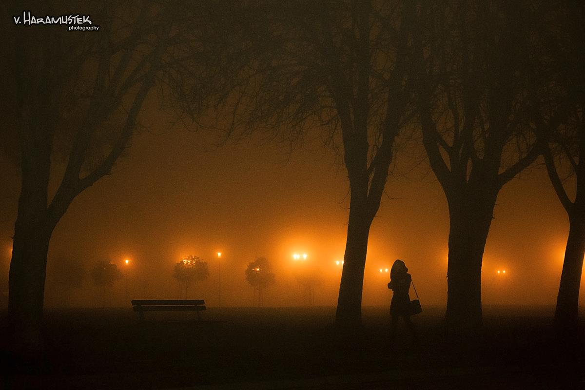 Maglovita no

Foto: Vatroslav Haramustek

Kljune rijei: magla suma noc