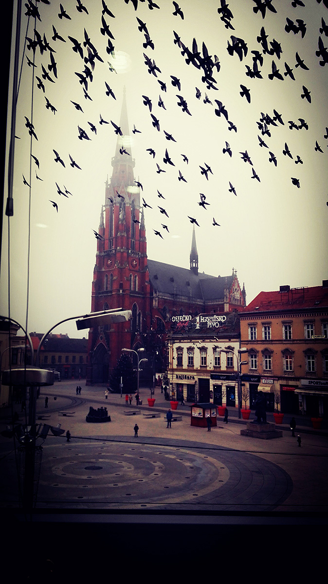 Golubovi na trgu

Foto: Maja Petrievi

Kljune rijei: golub golubovi trg ante starcevica katedrala