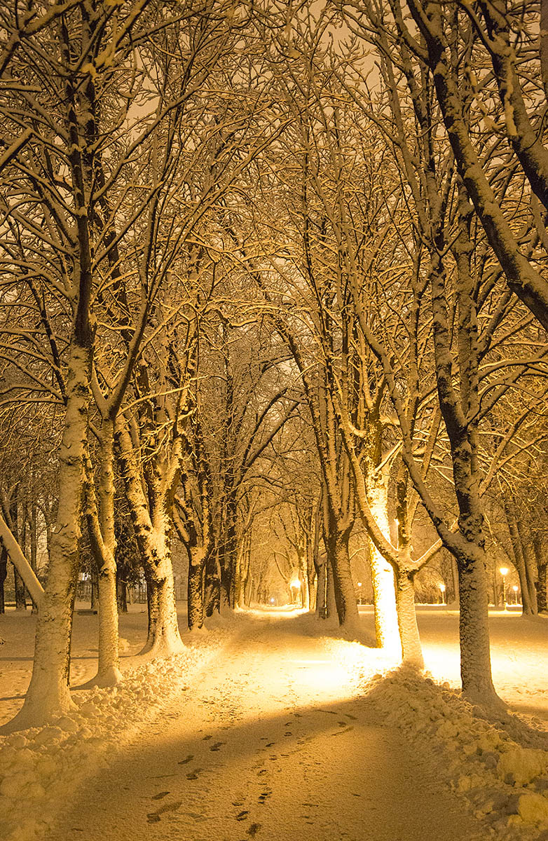 Snjena no

Foto: Josip Stevi

Kljune rijei: snjezna noc snijeg noc suma park drvece